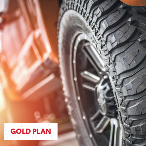 Toyota gold tire protection
